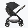 ERGOBABY 180 Reversible Stroller