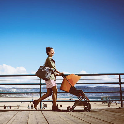DIONO TRAVERZE Editions Compact Stroller