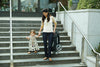 BABY JOGGER City Mini 3 Wheel Single Stroller