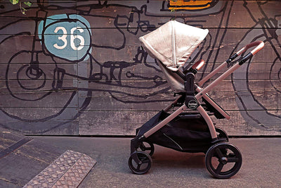 PEG PEREGO YPSI Stroller Mon Amour