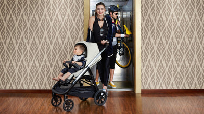 INGLESINA Aptica Stroller