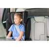2020 Nuna AACE Booster Car Seat