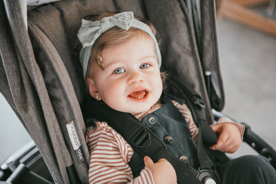 Bugaboo Bee5 Complete Stroller - Mineral Collection