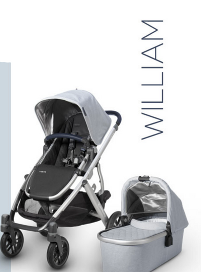 UPPAbaby VISTA 2019 Travel System