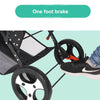 Double Jogging Stroller