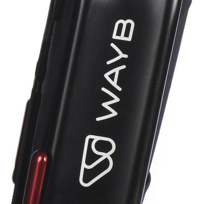 WAYB Pico Forward-Facing Car Seat